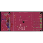Endoscopy Machine Controller